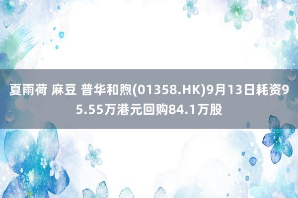 夏雨荷 麻豆 普华和煦(01358.HK)9月13日耗资95.55万港元回购84.1万股