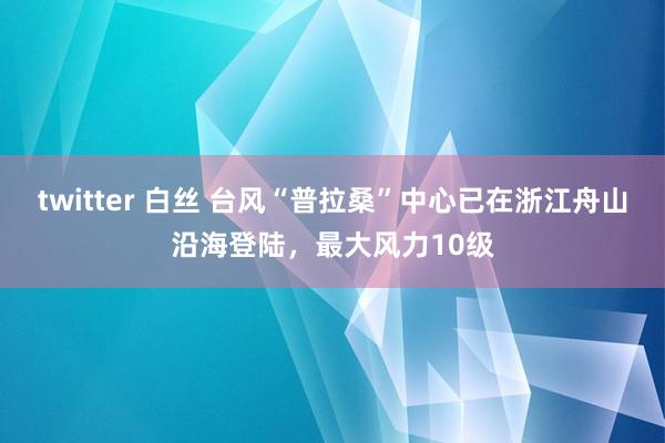 twitter 白丝 台风“普拉桑”中心已在浙江舟山沿海登陆，最大风力10级