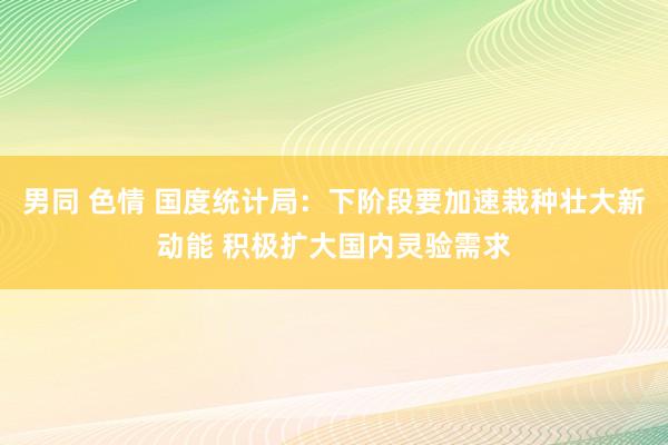 男同 色情 国度统计局：下阶段要加速栽种壮大新动能 积极扩大国内灵验需求