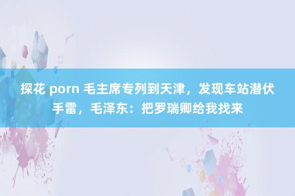 探花 porn 毛主席专列到天津，发现车站潜伏手雷，毛泽东：把罗瑞卿给我找来