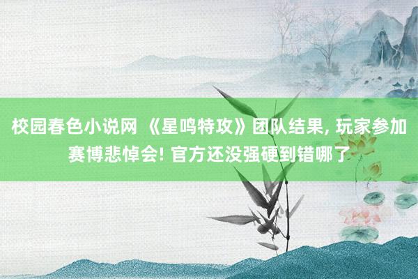 校园春色小说网 《星鸣特攻》团队结果， 玩家参加赛博悲悼会! 官方还没强硬到错哪了