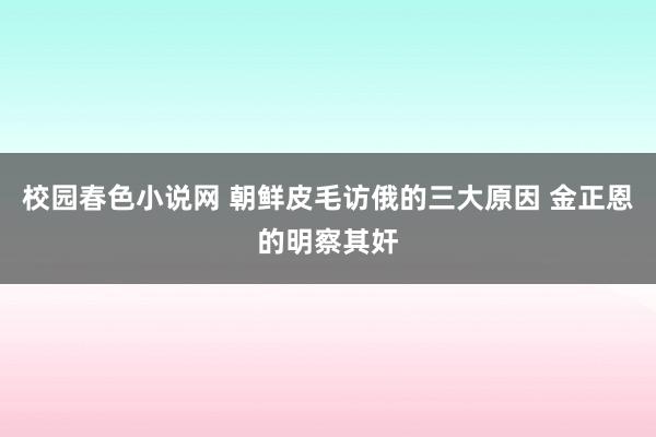 校园春色小说网 朝鲜皮毛访俄的三大原因 金正恩的明察其奸