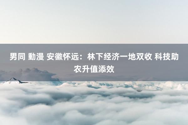 男同 動漫 安徽怀远：林下经济一地双收 科技助农升值添效
