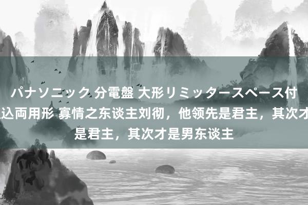 パナソニック 分電盤 大形リミッタースペース付 露出・半埋込両用形 寡情之东谈主刘彻，他领先是君主，其次才是男东谈主