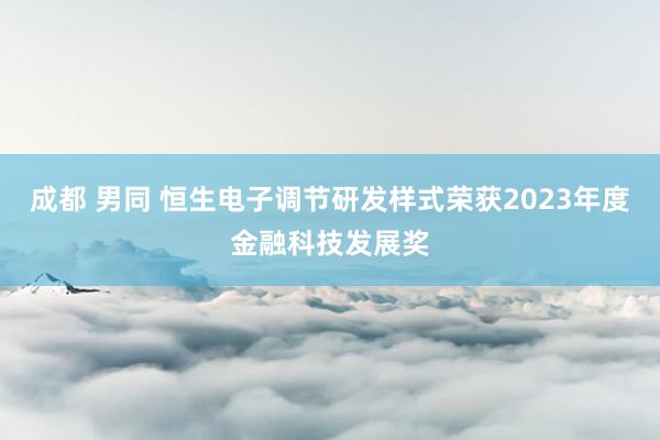 成都 男同 恒生电子调节研发样式荣获2023年度金融科技发展奖