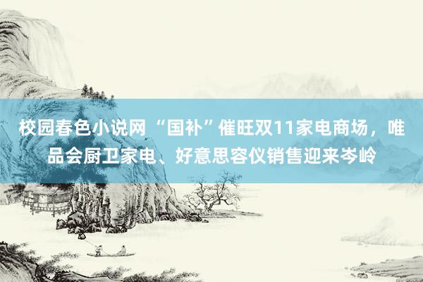 校园春色小说网 “国补”催旺双11家电商场，唯品会厨卫家电、好意思容仪销售迎来岑岭