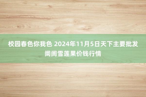 校园春色你我色 2024年11月5日天下主要批发阛阓雪莲果价钱行情