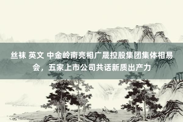 丝袜 英文 中金岭南亮相广晟控股集团集体相易会，五家上市公司共话新质出产力