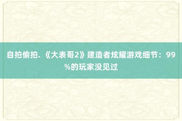 自拍偷拍. 《大表哥2》建造者炫耀游戏细节：99%的玩家没见过