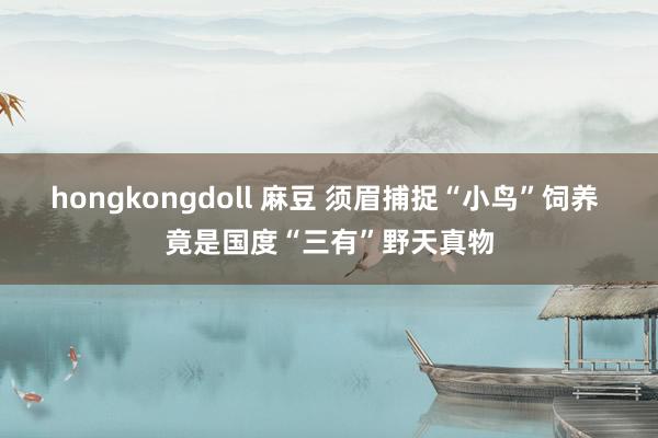 hongkongdoll 麻豆 须眉捕捉“小鸟”饲养 竟是国度“三有”野天真物