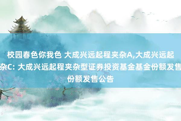 校园春色你我色 大成兴远起程夹杂A，大成兴远起程夹杂C: 大成兴远起程夹杂型证券投资基金基金份额发售公告