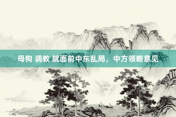 母狗 调教 就面前中东乱局，中方领略意见
