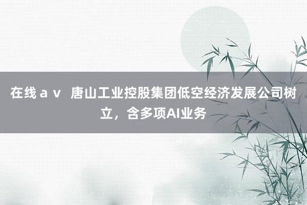 在线ａｖ  唐山工业控股集团低空经济发展公司树立，含多项AI业务