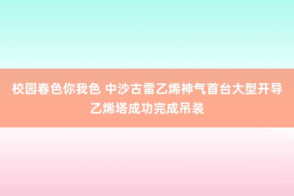 校园春色你我色 中沙古雷乙烯神气首台大型开导乙烯塔成功完成吊装