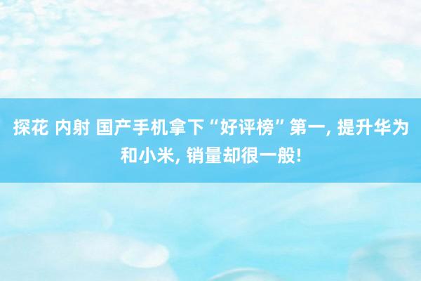 探花 内射 国产手机拿下“好评榜”第一， 提升华为和小米， 销量却很一般!