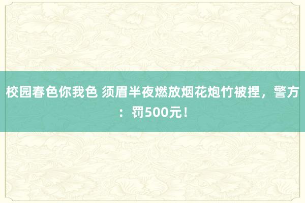 校园春色你我色 须眉半夜燃放烟花炮竹被捏,警方:罚500元!