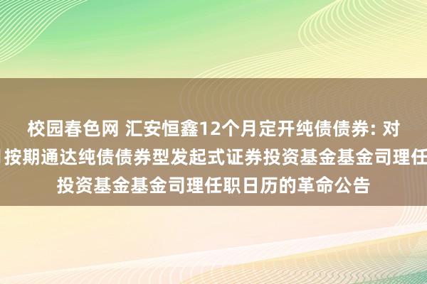 校园春色网 汇安恒鑫12个月定开纯债债券: 对于汇安恒鑫12个月按期通达纯债债券型发起式证券投资基金基金司理任职日历的革命公告