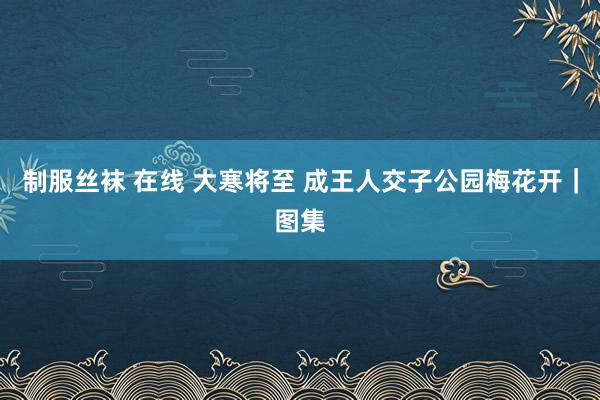 制服丝袜 在线 大寒将至 成王人交子公园梅花开｜图集