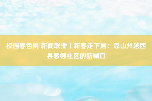 校园春色网 新闻联播丨新春走下层：凉山州越西县感德社区的新糊口