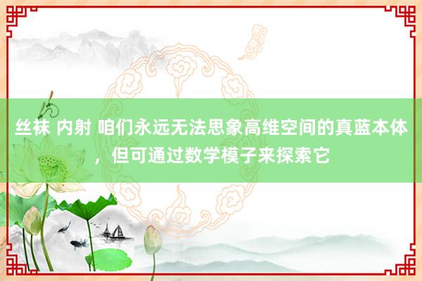 丝袜 内射 咱们永远无法思象高维空间的真蓝本体，但可通过数学模子来探索它