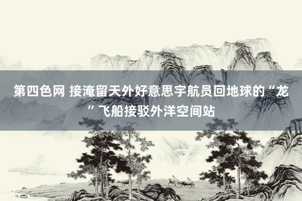 第四色网 接淹留天外好意思宇航员回地球的“龙”飞船接驳外洋空间站