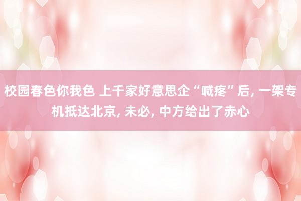 校园春色你我色 上千家好意思企“喊疼”后， 一架专机抵达北京， 未必， 中方给出了赤心