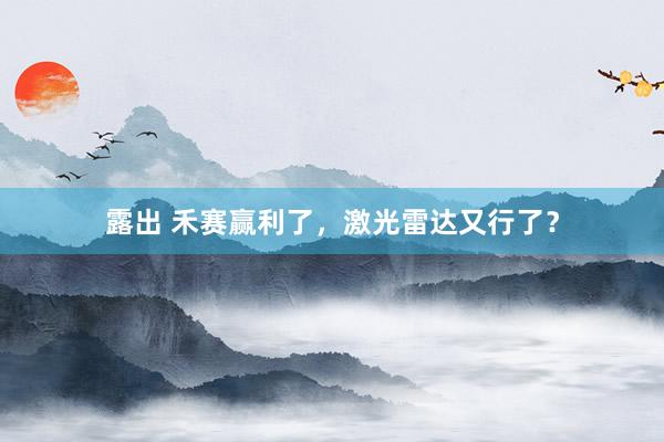 露出 禾赛赢利了，激光雷达又行了？