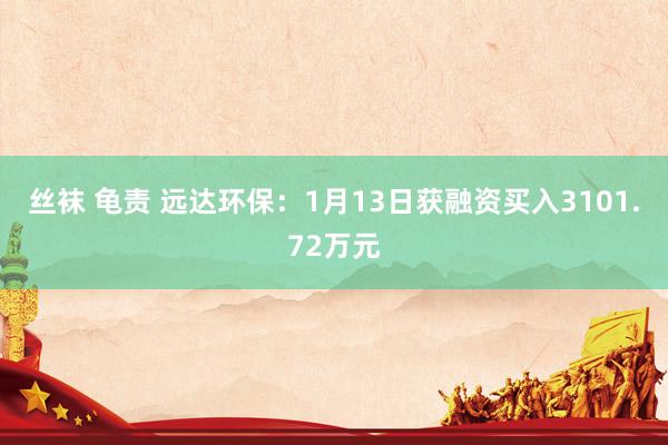丝袜 龟责 远达环保：1月13日获融资买入3101.72万元