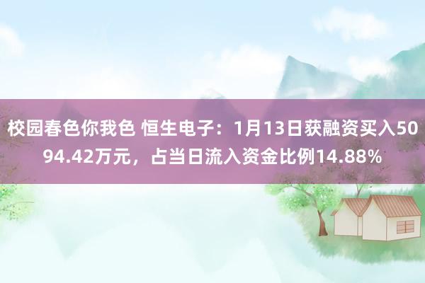 校园春色你我色 恒生电子：1月13日获融资买入5094.42万元，占当日流入资金比例14.88%