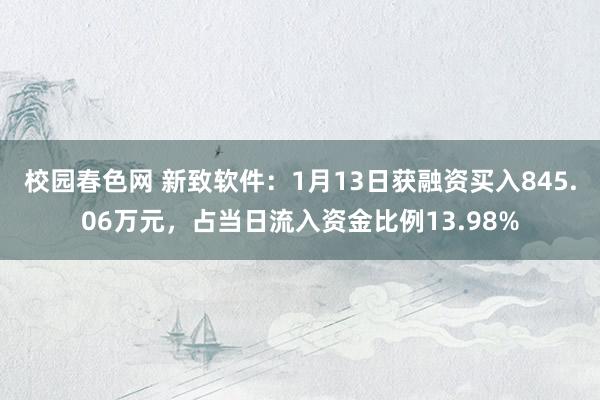 校园春色网 新致软件：1月13日获融资买入845.06万元，占当日流入资金比例13.98%