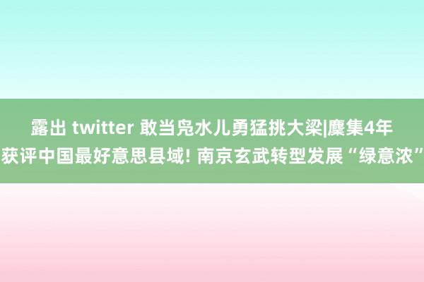露出 twitter 敢当凫水儿勇猛挑大梁|麇集4年获评中国最好意思县域! 南京玄武转型发展“绿意浓”