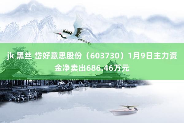 jk 黑丝 岱好意思股份（603730）1月9日主力资金净卖出686.46万元