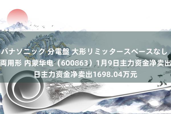 パナソニック 分電盤 大形リミッタースペースなし 露出・半埋込両用形 内蒙华电（600863）1月9日主力资金净卖出1698.04万元
