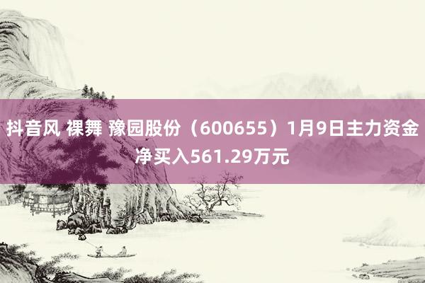 抖音风 裸舞 豫园股份（600655）1月9日主力资金净买入561.29万元