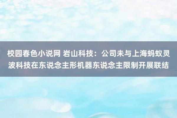 校园春色小说网 岩山科技：公司未与上海蚂蚁灵波科技在东说念主形机器东说念主限制开展联结