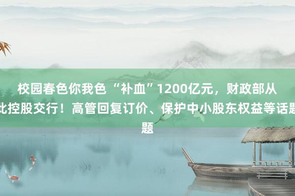 校园春色你我色 “补血”1200亿元，财政部从此控股交行！高管回复订价、保护中小股东权益等话题