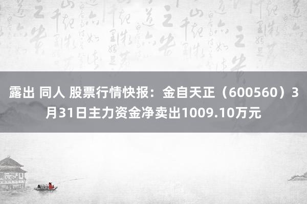 露出 同人 股票行情快报：金自天正（600560）3月31日主力资金净卖出1009.10万元