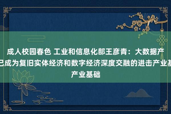 成人校园春色 工业和信息化部王彦青：大数据产业已成为复旧实体经济和数字经济深度交融的进击产业基础