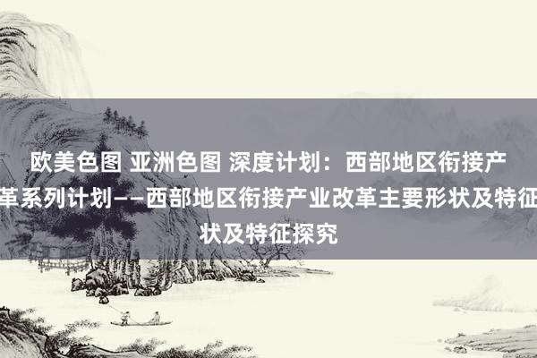 欧美色图 亚洲色图 深度计划：西部地区衔接产业改革系列计划——西部地区衔接产业改革主要形状及特征探究