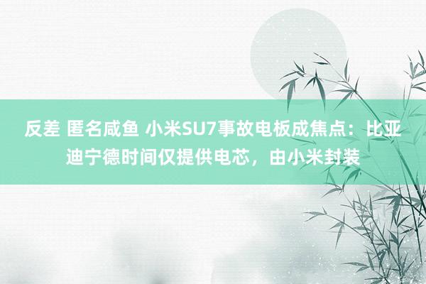 反差 匿名咸鱼 小米SU7事故电板成焦点：比亚迪宁德时间仅提供电芯，由小米封装