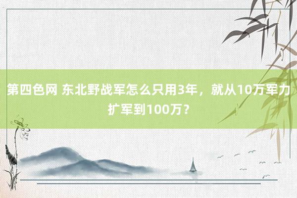 第四色网 东北野战军怎么只用3年，就从10万军力扩军到100万？