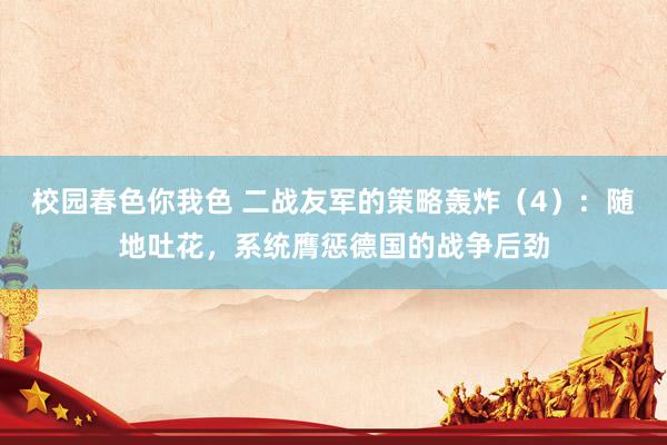 校园春色你我色 二战友军的策略轰炸（4）：随地吐花，系统膺惩德国的战争后劲