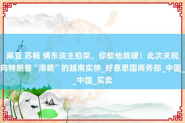 麻豆 苏畅 俩东谈主掐架，你软他就硬！此次关税战，向特朗普“滑跪”的越南实惨_好意思国商务部_中国_买卖
