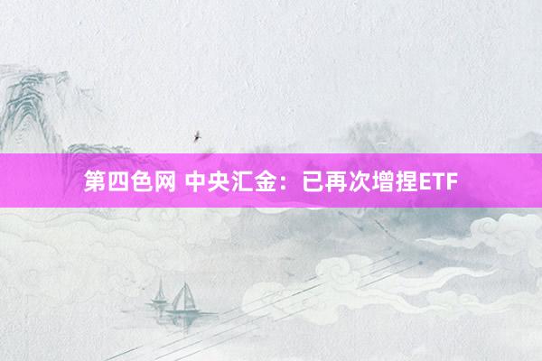 第四色网 中央汇金：已再次增捏ETF