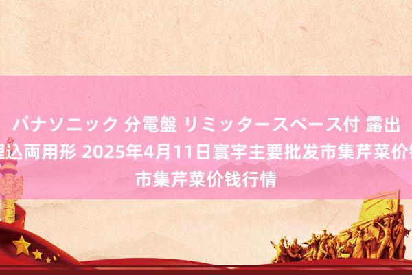 パナソニック 分電盤 リミッタースペース付 露出・半埋込両用形 2025年4月11日寰宇主要批发市集芹菜价钱行情