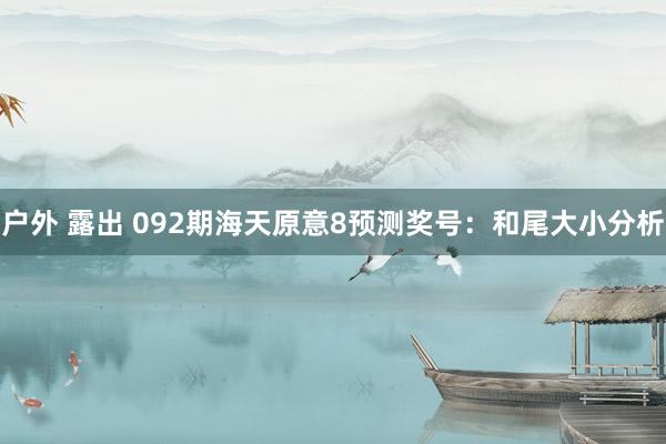 户外 露出 092期海天原意8预测奖号：和尾大小分析
