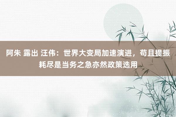 阿朱 露出 汪伟：世界大变局加速演进，苟且提振耗尽是当务之急亦然政策选用