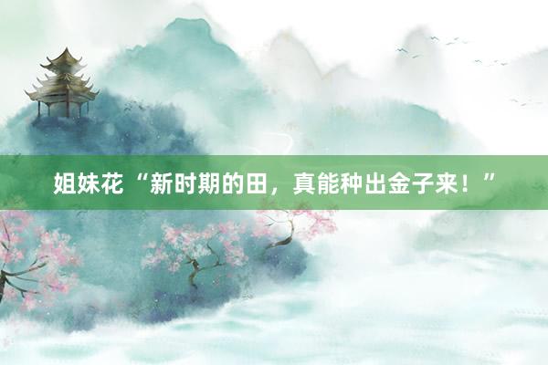姐妹花 “新时期的田，真能种出金子来！”