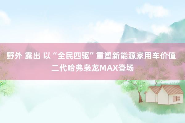 野外 露出 以“全民四驱”重塑新能源家用车价值 二代哈弗枭龙MAX登场