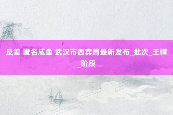 反差 匿名咸鱼 武汉市西宾局最新发布_批次_王疆_阶段